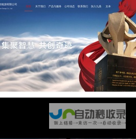 江苏九鼎新能源有限公司
