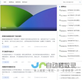 股票汇