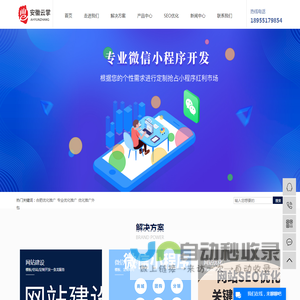 合肥优化推广_专业优化推广_优化推广外包­-安徽云掌信息技术有限公司