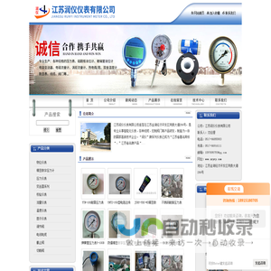 耐震压力表,磁翻板液位计,智能差压变送器,精密数字压力计-江苏润仪仪表有限公司