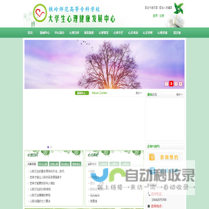大学生心理健康发展中心