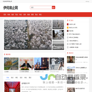 伊何底止网