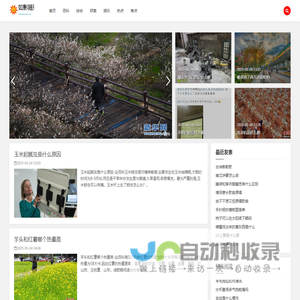 如影随形网