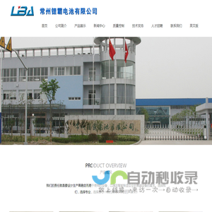 纽扣电池,扣式电池,玩具专用电池,遥控器电池-常州锂霸电池有限公司
