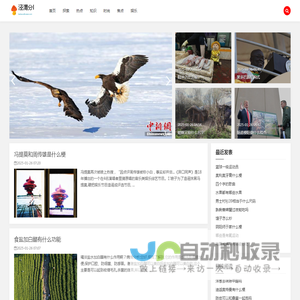 泾渭分明网