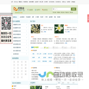 【花粉丝】花卉查询网――专业的花卉知识大全网站