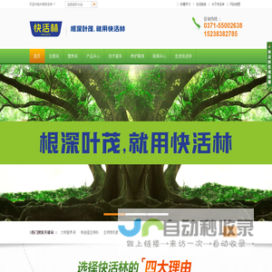 大树营养液_生根剂_中威快活林园林养护品_中威快活林