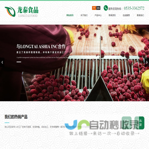 烟台龙泰食品有限公司