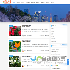 长久鲜花