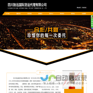 四川致远国际货运代理有限公司