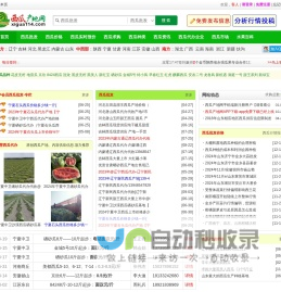 西瓜产地网-2024年西瓜价格行情_西瓜代办批发_西瓜网站