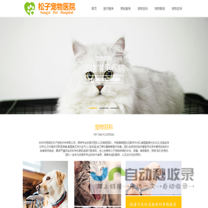 杭州24小时宠物医院-宠物医生-杭州松子宠物诊所
