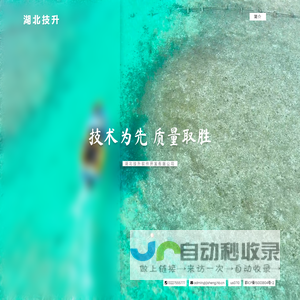 湖北技升软件开发有限公司