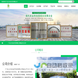 狮头鹅|千宝园鸡蛋|肉鸡|鹅苗—广东立兴农业开发有限公司