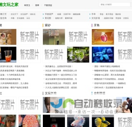 橄榄核雕|文玩核桃|文玩天下|核雕文玩之家是最火爆核雕文玩网站!
