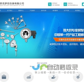 江苏克罗尼仪表有限公司