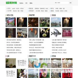 猎狐梗赏析网 - 狐狸猎手的忠实伙伴，品味猎狐梗之独特