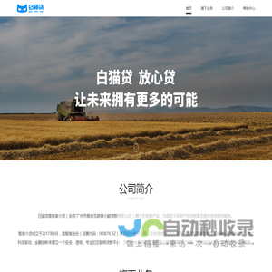白猫贷