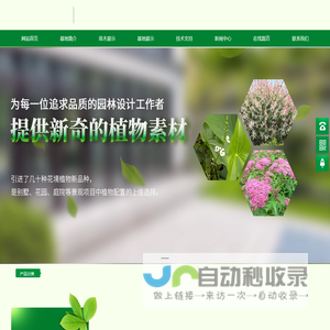 湘潭科林苗木新品种培植基地_观赏苗木经营