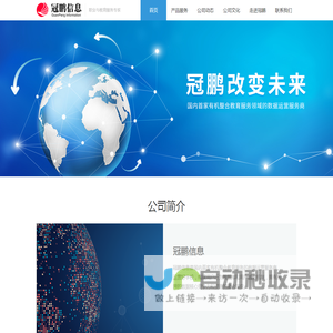 广州冠鹏信息技术有限公司