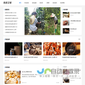 陈皮之家-分享新会陈皮功效作用,教你陈皮保存陈化方法的原创网站