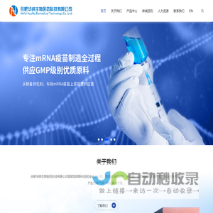 TP-LINK DDNS服务