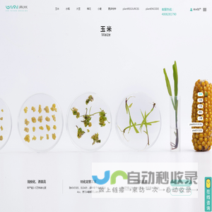 未米生物_种质资源,基因编辑,遗传转化