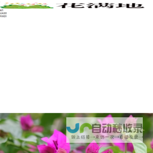 花满地